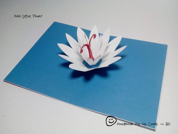Lotus 3D Template