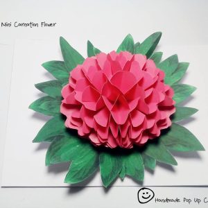 Carnation Flower 3D Template