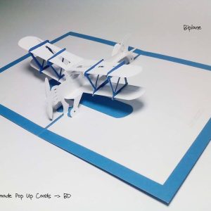 Biplane 2D Template