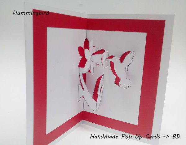 Hummingbird 2D Template